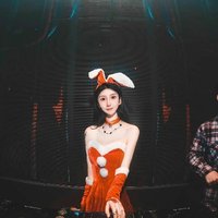車載王菲dj歌曲