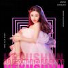 劉嘉亮 美麗女人(Dj阿亮 VinaHouse Mix)