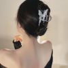西樓兒女 (抖音DJ熱播)